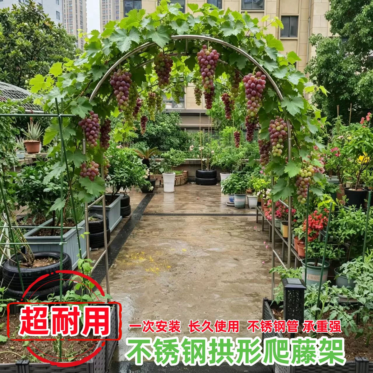 Stainless Steel Garden Arch Trellis for Climbing Plants, Outdoor Rose Arbor Support, Vegetable Pergola Frame