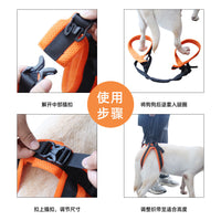 Dog Rear Leg Support Harness for Senior and Injured Dogs