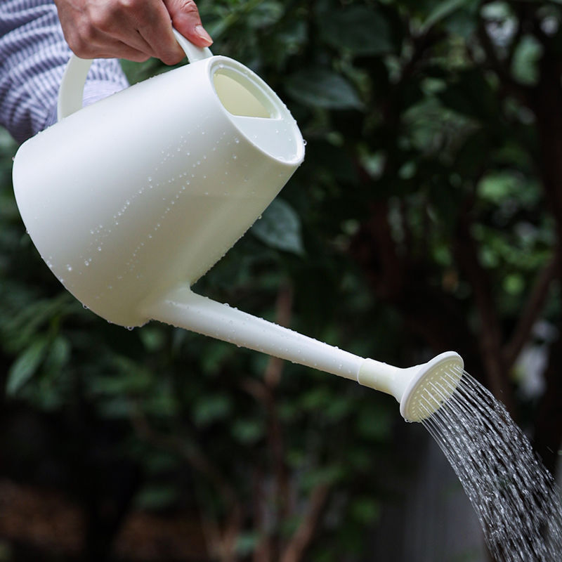 Long Spout Watering Can for Indoor Outdoor Plants