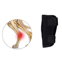 Pet Dog Leg Brace for Injury Recovery and Anti-Lick Protection