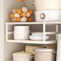 Under Cabinet Pull-Out Storage Shelf for Kitchen Spices and Condiments