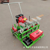 Manual Push Planter for Small Seeds and Vegetables