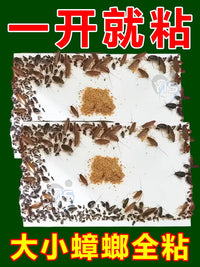 Cockroach Glue Traps for Home, Non-Toxic Indoor Kitchen Pest Control, Strong Adhesive Roach Killer Boards