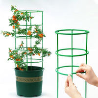 Adjustable Plant Support Stakes for Climbing Plants and Orchids, Modular Garden Trellis Kit