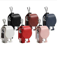 Portable Golf Ball and Tee Holder Pouch with Waist Clip