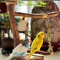 Bird Playground Perch with Swing and Food Box for Small Parrots and Budgies