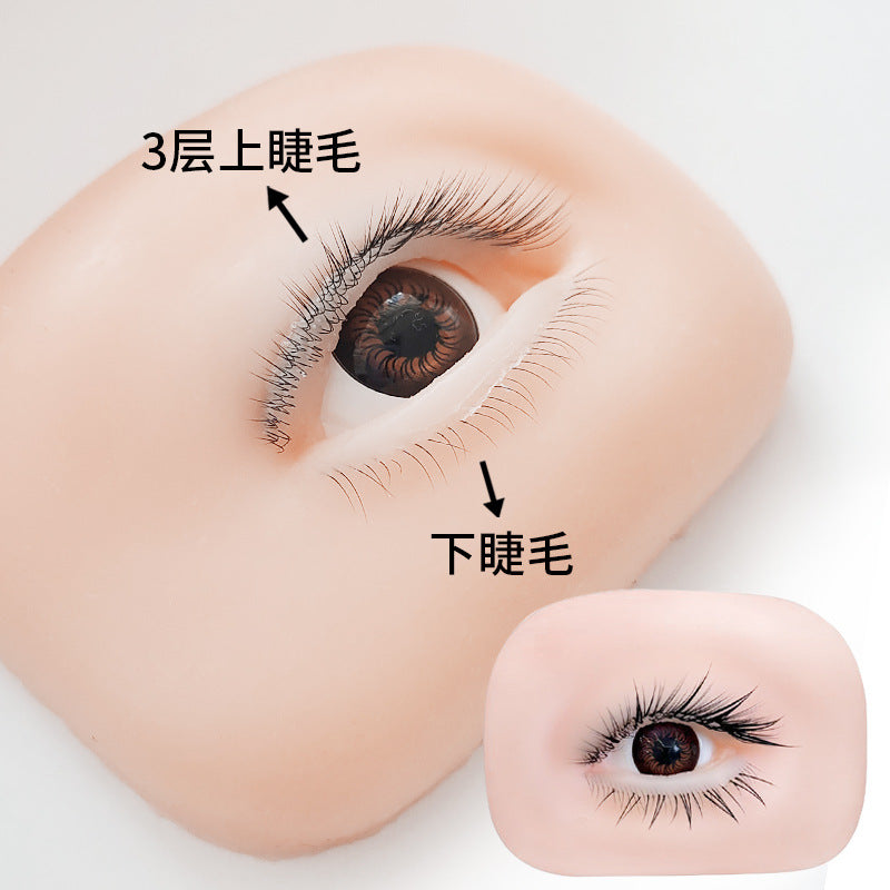Eyelash Extension Training Mannequin Head with 3D/5D Practice Lashes