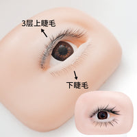 Eyelash Extension Training Mannequin Head with 3D/5D Practice Lashes
