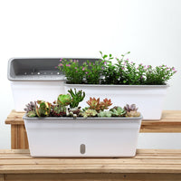 Self-Watering Rectangular Planter for Succulents & Vegetables, Breathable Lightweight Indoor/Outdoor Herb Garden Pot
