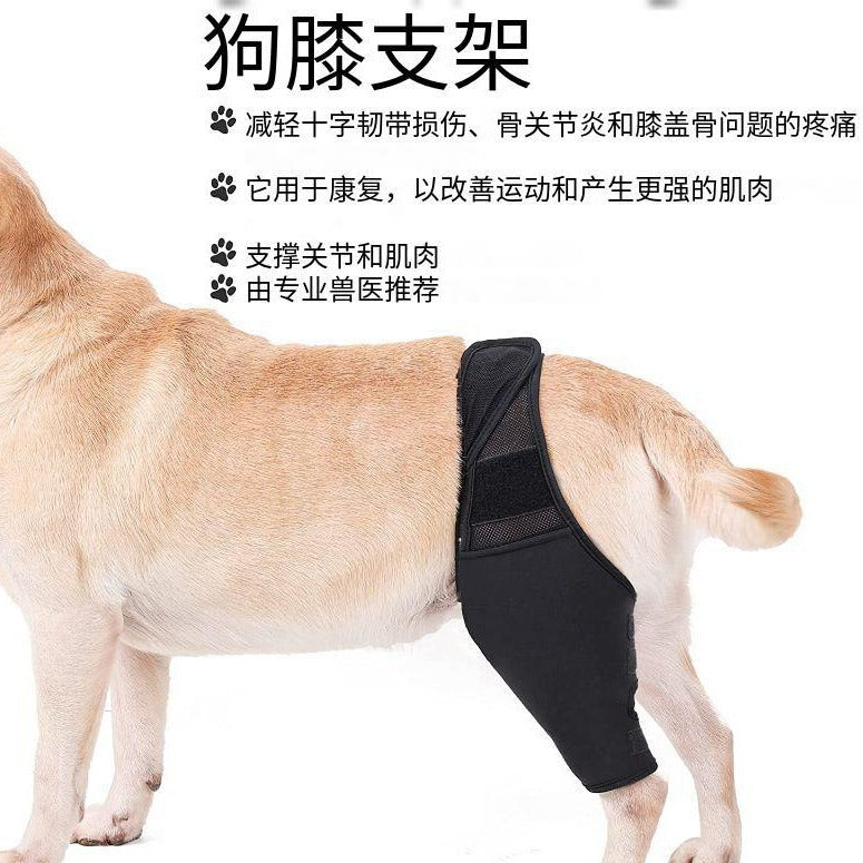 Pet Dog Leg Brace for Injury Recovery and Support