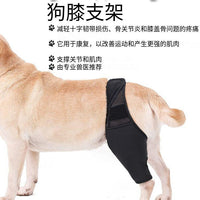 Pet Dog Leg Brace for Injury Recovery and Support