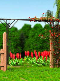 Garden Arch Arbor Pergola for Climbing Plants and Vines, Outdoor Lawn Backyard Support Trellis