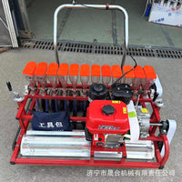 Hand-Pushed Agricultural Seeder for Garlic, Angelica, and Vegetable Planting