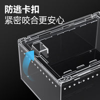 Transparent Acrylic Reptile and Insect Terrarium with Secure Latch