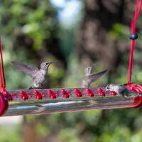 Hummingbird Feeder Creative Hanging Long Tube with Flower Bird Water Feeder