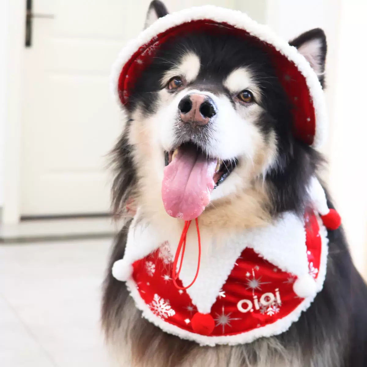 Personalized Embroidered Pet Christmas Hat and Scarf Set for Dogs