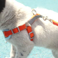 Pet Harness and Leash Set for Small to Medium Dogs - Suede Vest Style Dog Harness with Leash
