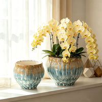 Creative Glazed Ceramic Planter with Saucer for Orchids and Green Plants