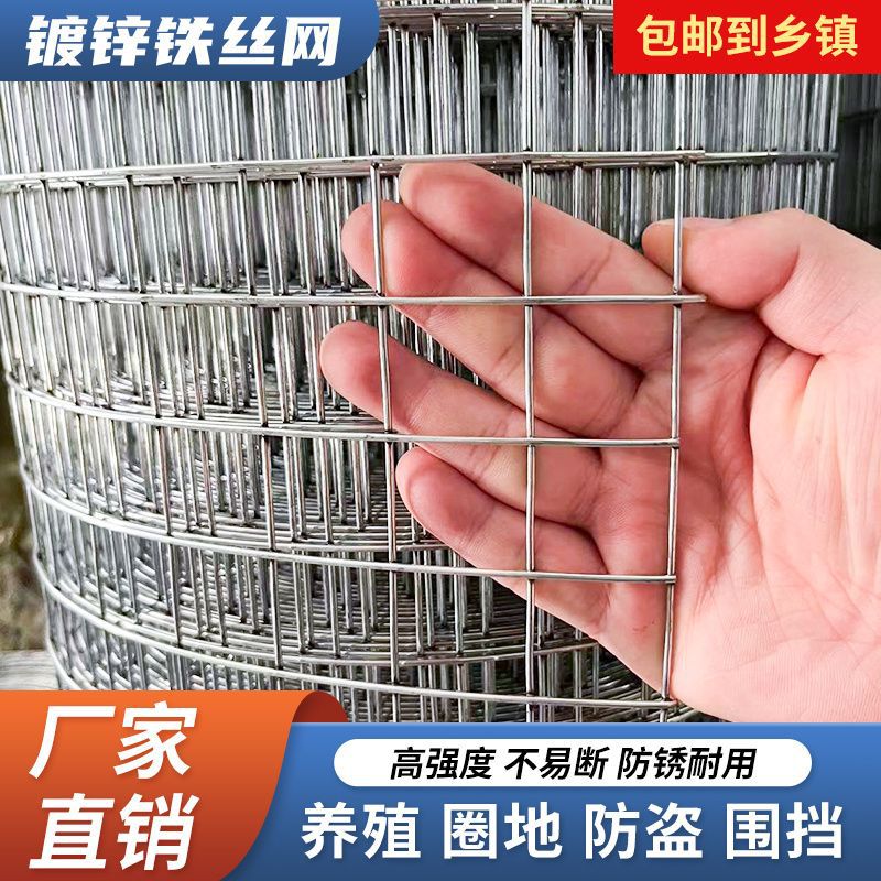 Galvanized Steel Wire Mesh Fence for Poultry, Garden, and Pest Control