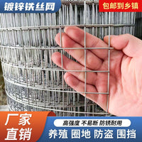 Galvanized Steel Wire Mesh Fence for Poultry, Garden, and Pest Control