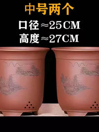 Breathable Zisha Clay Orchid Pot for Indoor Plants and Trees