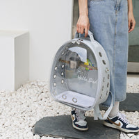 Transparent Pet Bird Carrier Backpack with Perch and Food Cups for Travel