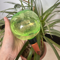 Self-Watering Glass Bulb with Lid for Potted Plants