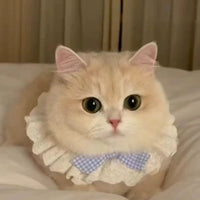 Pet Cat Dog Cotton Lace Bow Scarf Collar Bib for Small Pets