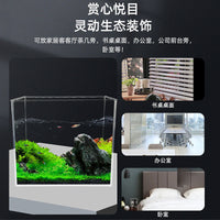 Mini Desktop Aquarium Tank with Ecosystem for Betta Fish and Aquatic Plants