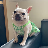 Pet Rabbit Print Cotton Dress for Small to Medium Dogs and Cats