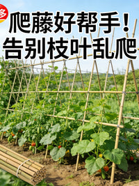 Bamboo Garden Stakes for Climbing Plants, Vegetables, Tomatoes, Cucumbers, Beans, and Fences