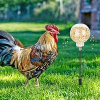 Chicken Peck Toy Slow Feeder for Poultry Coop