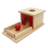 Montessori Wooden Educational Toy for Toddlers and Preschoolers - Early Learning Activity Box