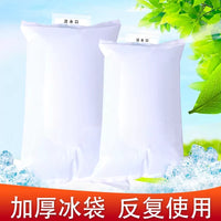 Reusable Large Capacity Water Injection Ice Pack for Food Preservation and Cold Chain Transport