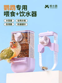 Automatic Bird Feeder and Water Dispenser with Hull Separation and Leak-Proof Design for Parrots