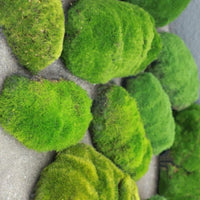 Artificial Moss Stones for Home Decor and Landscaping, Flocked Moss Rocks