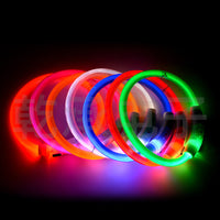 USB Rechargeable LED Light-Up Dog Collar for Night Walking Safety