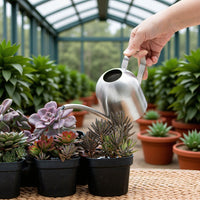 Stainless Steel Long Spout Watering Can for Indoor & Outdoor Plants, 1L Capacity