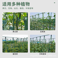 A-Frame Trellis Plant Support for Grapes and Climbing Plants, Coated Steel Tube Garden Frame