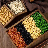 Realistic Faux Grains & Legumes Food Models for Crafts & Display