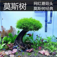 Aquarium Moss Tree Driftwood Decoration for Fish Tank Landscaping