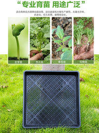 Thickened Seedling Tray for Sprouts and Succulents, Square Germination Planter