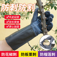 Professional Cowhide Gardening Gloves with Long Sleeves for Rose Pruning and Thorn Protection