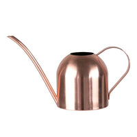 Stainless Steel Long Spout Watering Can for Indoor Outdoor Plants, 450ML