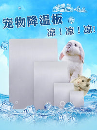 Pet Cooling Aluminum Plate for Small Animals - Hamster, Rabbit, Chinchilla Summer Heat Relief Pad