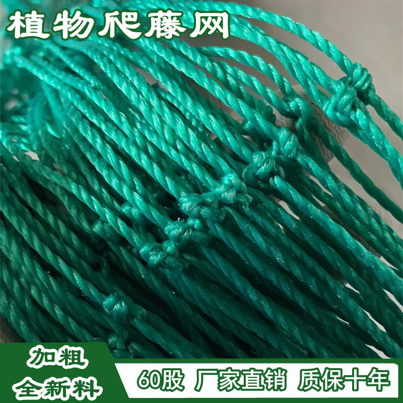 Plant Trellis Netting for Climbing Vines, Fruits, and Vegetables