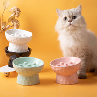Ceramic Elevated Slow Feeder Pet Bowl for Cats and Small Dogs, Tilted Anti-Vomit Anti-Choke Food Dish