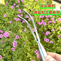 Solid Stainless Steel 2-Tine Garden Rake for Planting and Weeding