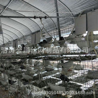 Pigeon Breeding Cage for Home Use, 12-16 Compartments, Thickened Galvanized Steel
