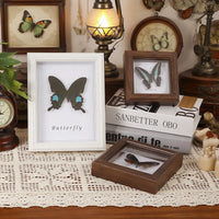 European Retro Hollow 3D Specimen Display Frame for Butterflies and Insects, Square Wooden Picture Frame